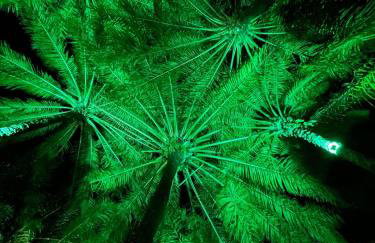 The Black Pool House em Busca Vida - Foto 3