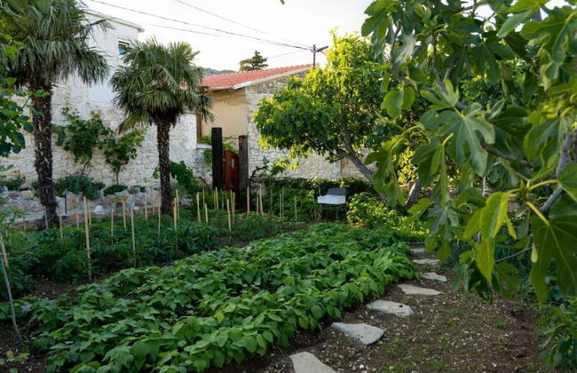 Holiday Home Leptir - Foto 26