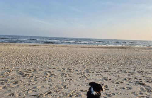 FeWo Renken - Foto 35