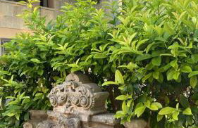 Villa De Pietro - Foto 24