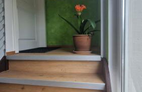 Königsnase - Foto 9