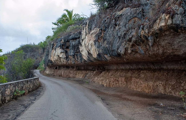 Tour del nord di Bonaire - Foto 7
