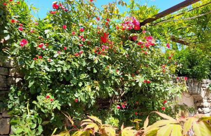 Villa L'Opaline 10 pers Piscine privée Chauffée Animaux admis Wifi - Foto 31