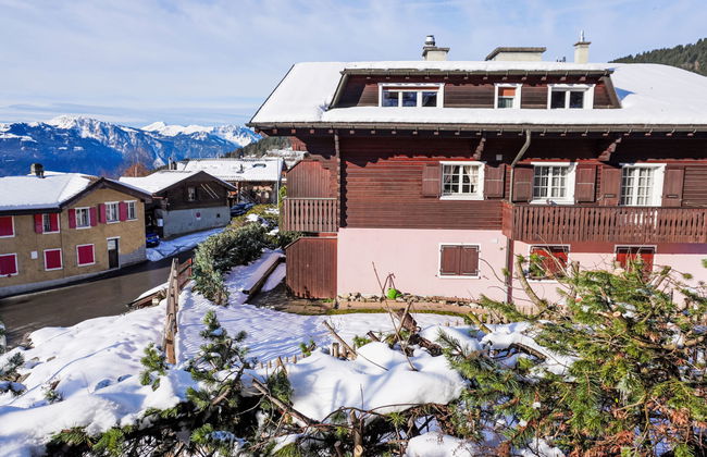 Goeland n°4 - Foto 16