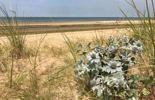 Fisherman's Cottage - Foto 20