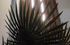 Soul II Soul Veria - Photo 31