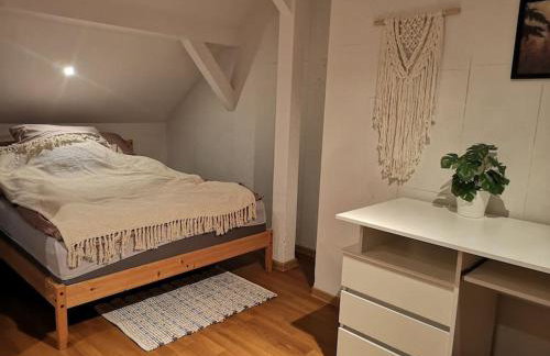 Sielanka Aleksandria - Foto 6