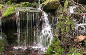 2 Bedroom 2 Bathroom - Blue Knob All Season Resort Condo - Foto 36