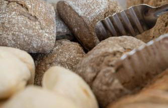 Quinta Vale Vitis - Foto 17