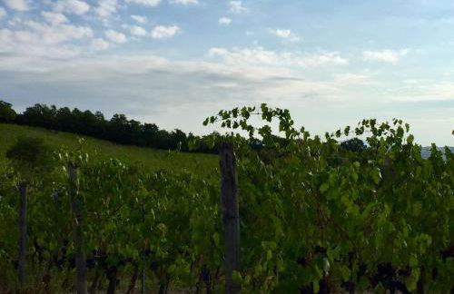 Agriturismo San Gregorio - Foto 47