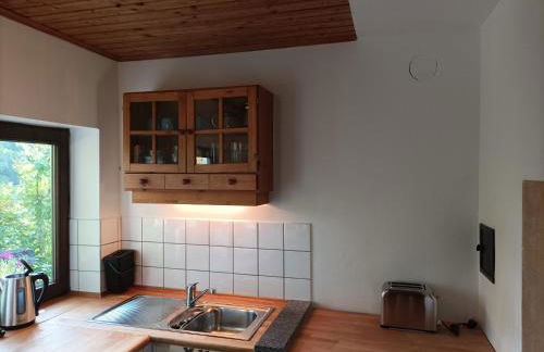 Burgberg Schöllnstein - Foto 14