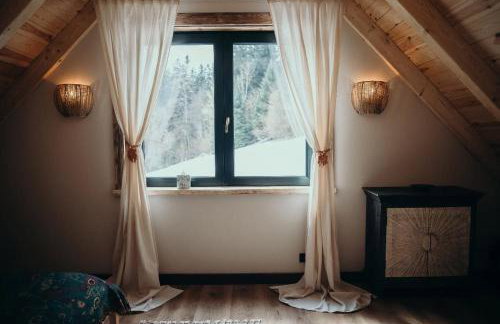 Mech i brzoza - Foto 16