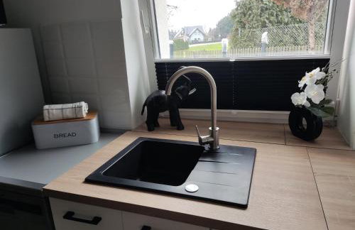 Apartamenty u Gumisia "Gumisiówka" mała agroturystyka Kłodzko Jaszkowa Górna - Foto 20