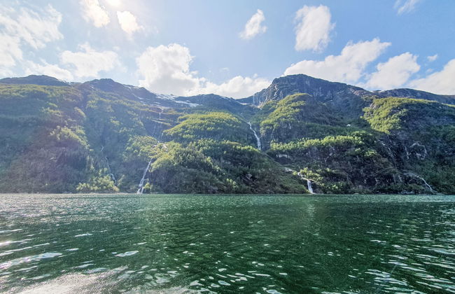 Ørviksnes - Photo 27