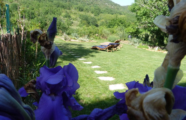 Le Grand Gîte - Photo 15