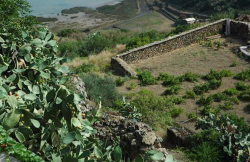 Dammusi di Venere - U Locu - Foto 28