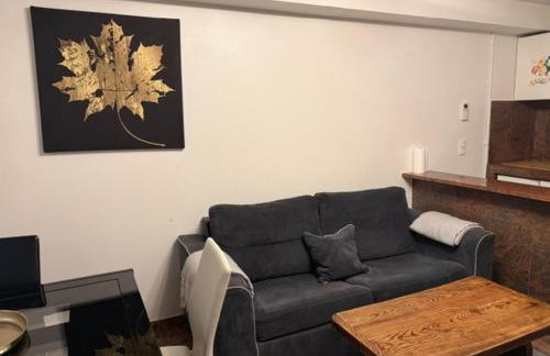 Bartholomé LE MAGNIFIQUE - Foto 43