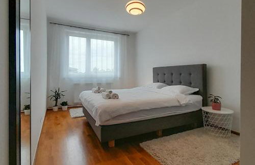 Apartman Lumi Arena - Foto 1