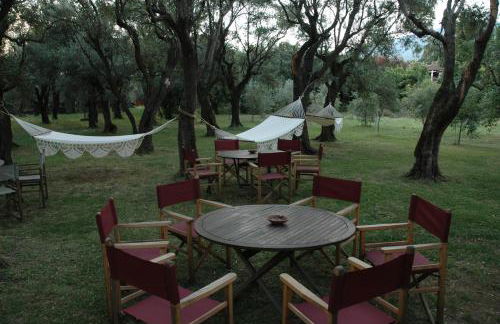 Antico Uliveto - Foto 76