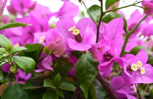 Casa Esperanza - Foto 34