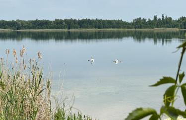 Za Lasem Nad Wodą - Foto 67