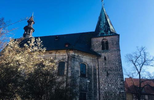 Ferienwohnungen an der Blasiikirche - Foto 56