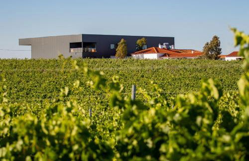 Fontes Bárbaras Enoturismo - Foto 57