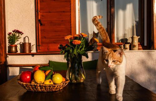 Beetle Villa retro country house - Foto 31