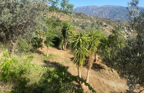 Casa Amelie - Foto 40