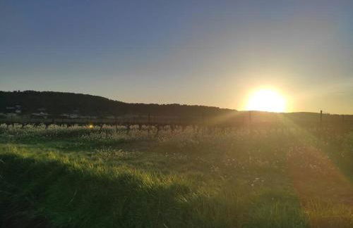 Studio Calvisson La Martinette - Photo 7