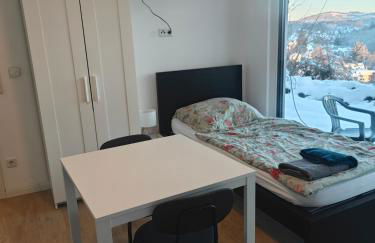 Siegen - Geisweid Work and stay Neu Modernisiert 2 Schlafzimmer Badezimmer Balkon - Foto 39