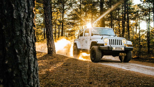 Un sentiero tra i frondosi pini