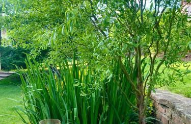 Le Gîte de Brigitte ! - Foto 16