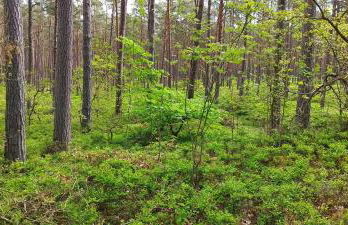 Traumblick und Komfort - lichtdurchflutete 85 qm Wohnung nahe Südstrand Göhren inklusive Schwimmbad und Sauna im AHOI Sellin - Foto 41