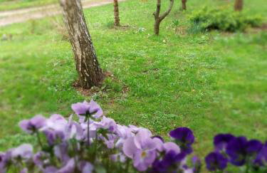 Wyciszek - mazurska agroturystyka - Foto 46