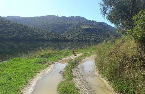 Casa de Freixo - Foto 44