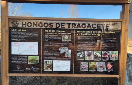 Alojamiento Rural El Morenal - Foto 42