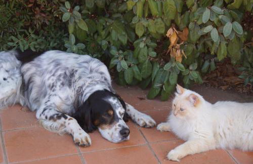 Agriturismo Bonzalone - Foto 6