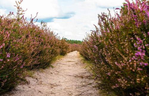 Ferienwohnung Ram 1 - Photo 61