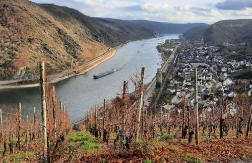 Moderne Ferienwohnung "Am Wald 2", ruhige Lage, viel Komfort, grosse Terrasse, - Foto 20