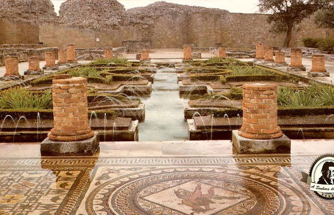 Assafarge-2bedroom-1bathroom-garden - Foto 18