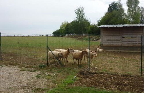 Gîte moderne dans ferme rénovée avec piscine chauffée, animaux acceptés - FR-1-491-377 - Foto 11