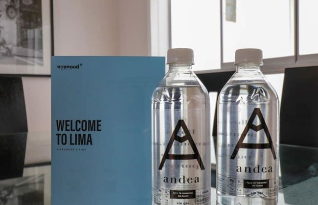 w Spacious 3BR With Balcony in Barranco - Foto 12