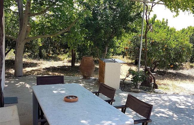 Farm House in Bio Orange Plantation - Foto 1