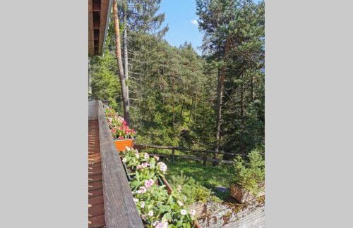 Chalet nel bosco - Photo 63