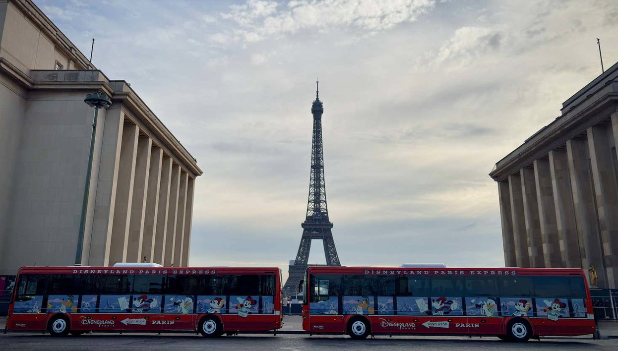 Excursión a París por libre + Crucero por el Sena - Foto 2, Os llevaremos desde Disneyland hasta la Torre Eiffel
