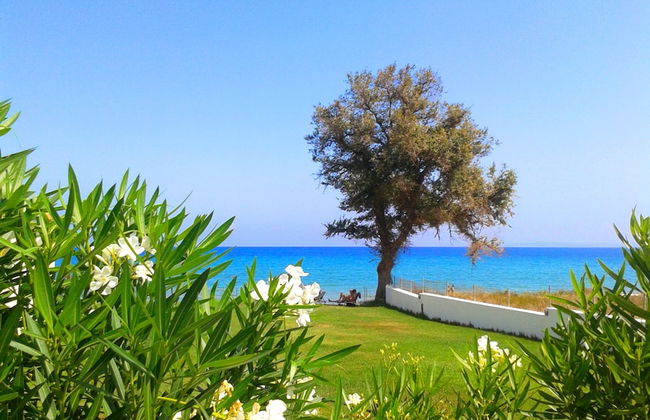 Maria Mare Apart-hotel - Foto 38