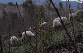 Etna Rural Cottage with Jacuzzi - Foto 32