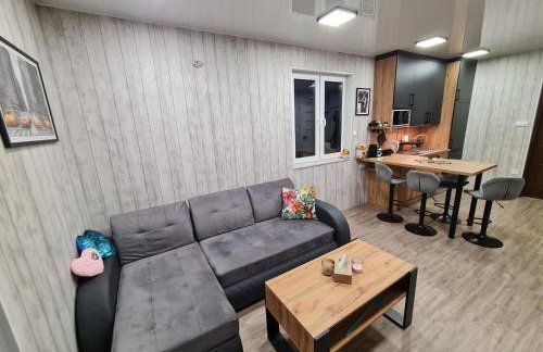 Nowy York - Sauna - Jacuzzi - Najczystsze jezioro PL - SPA - STYRUŚ - Foto 62