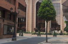 Auditorio Vicele - 2 Hab y Sofá-Cama - Wifi - VUT-6774-AS - Foto 36